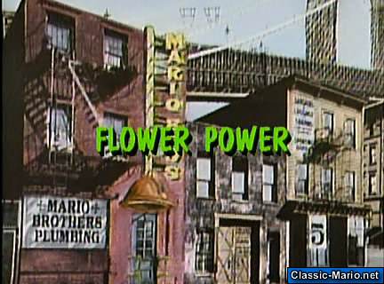 /flowerpower